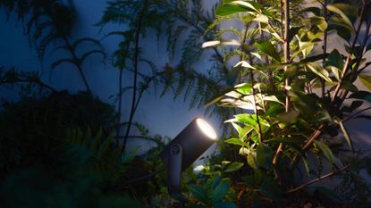 Philips Hue Lily Outdoor Spotlight vs Chiron Solar Spotlight