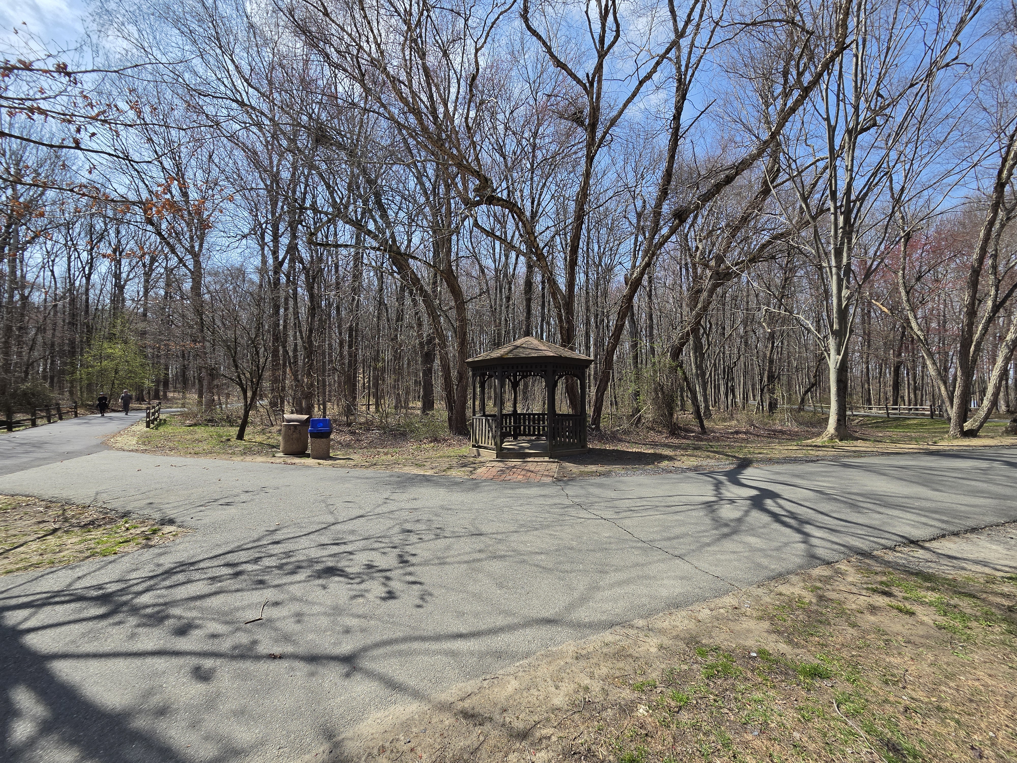 Samsung Galaxy S26 Plus camera samples