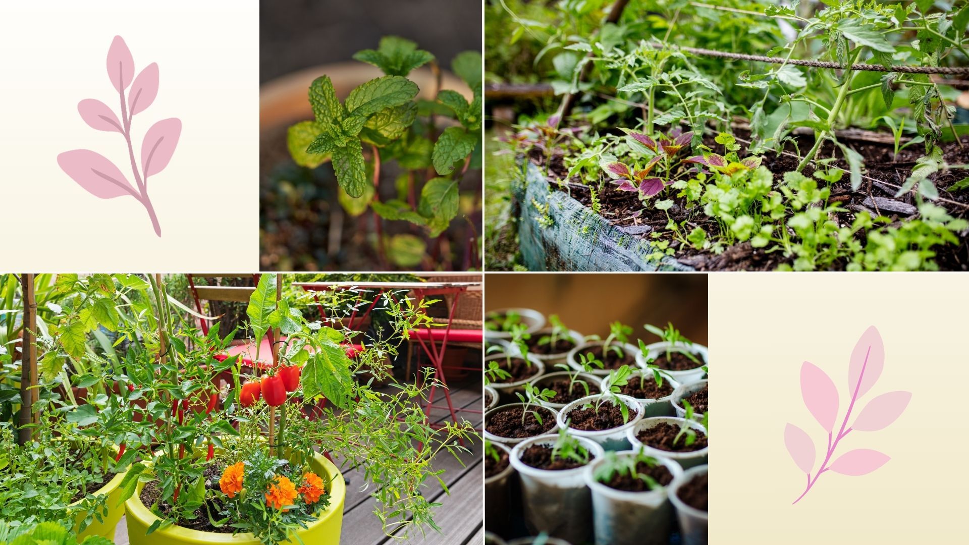 Companion planting is the low-effort, genius method that will revolutionise the way you plan your garden
