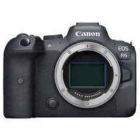 Canon EOS R6 (body only): £2,599