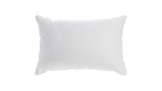 The Soak&Sleep New Zealand Wool Pillow is the best cooling pillow for those who need hypoallergenic materials