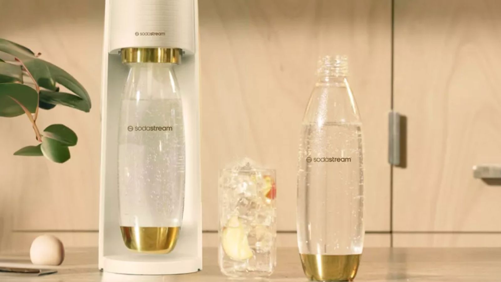 SodaStream Terra Sparkling Water Maker with CO2 and Carbonating Bottle