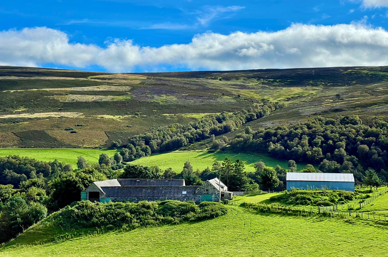 A landscape with fields and blue sky