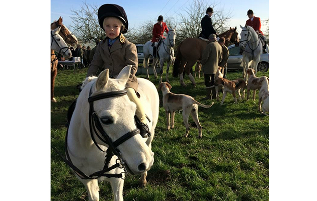 Hi , These are some pictures of our at the time 4 year old son Oliver Gillman and his 26 year old pony Tuffty enjoying their first days hunting with the Blackmore and Sparkford Vale last season . Julie Gillman