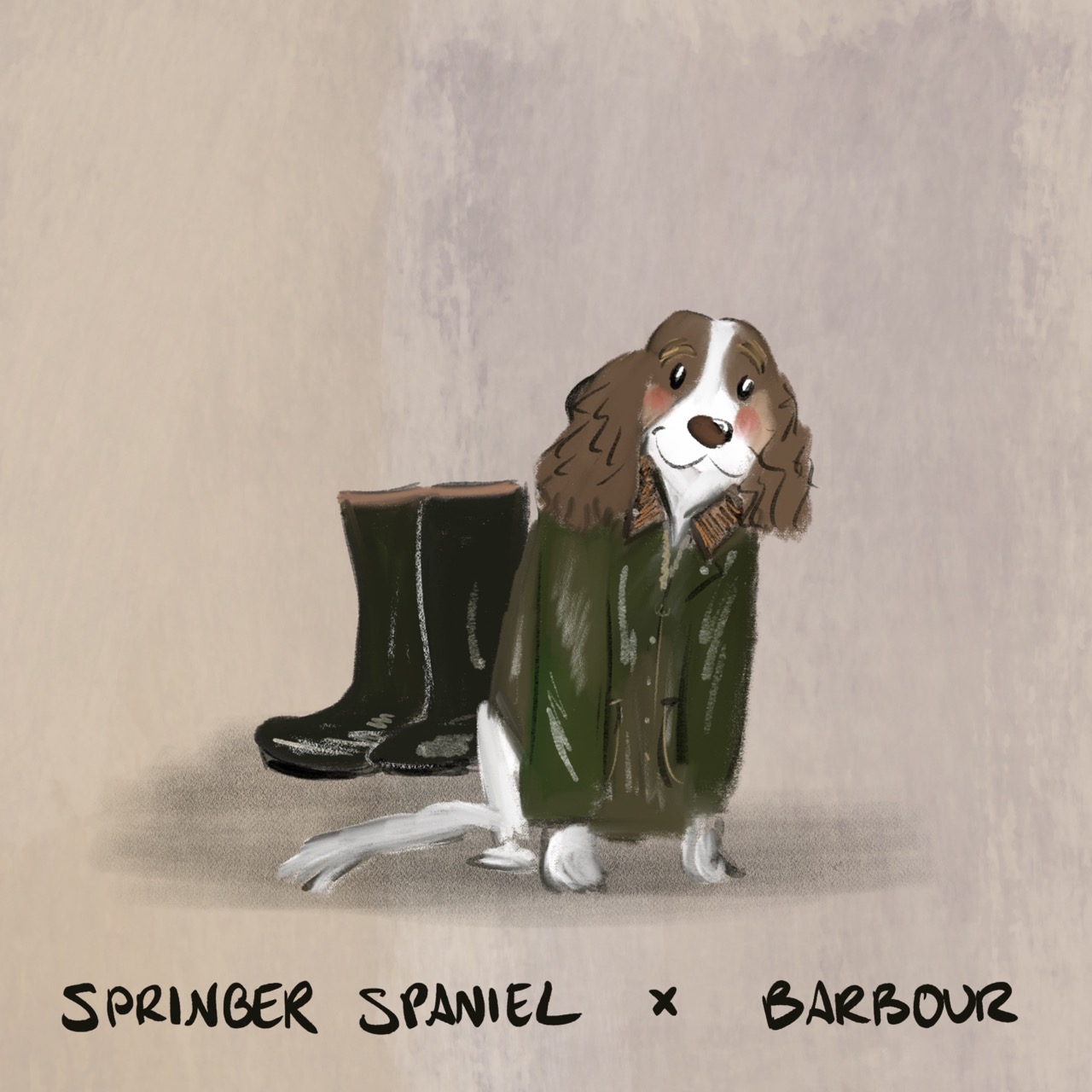 A series of twelve illustrated animals styled as luxury fashion designers: an Afghan hound in a slouchy blush Chlo&amp;eacute; coat; an Airedale Terrier in a navy Ralph Lauren sweater on a tartan blanket; a beagle carrying a classic Louis Vuitton handbag while wearing a monogrammed scarf; an English bulldog in a chunky cream Connolly jumper with green gloves beside it; a Birman cat in a pink Chanel jacket layered with pearls; a corgi standing proudly on an orange Herm&amp;egrave;s box with a silk scarf and pink Birkin-style bag; a long-haired dachshund in a soft cream Brunello Cucinelli cardigan; a Dalmatian posing in a dramatic Dior hat with a veil and a black umbrella; a fox red Labrador wearing a Burberry check headscarf; a poodle strutting in oversized Celine sunglasses and a gold medallion necklace; a Springer spaniel wrapped in an oversized green Barbour jacket beside wellington boots; and a Weimaraner in a sleek black Giorgio Armani turtleneck and dark sunglasses.
