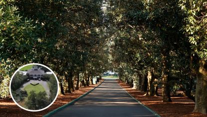 An image of Magnolia Lane with and inset of fallen trees at Augusta National