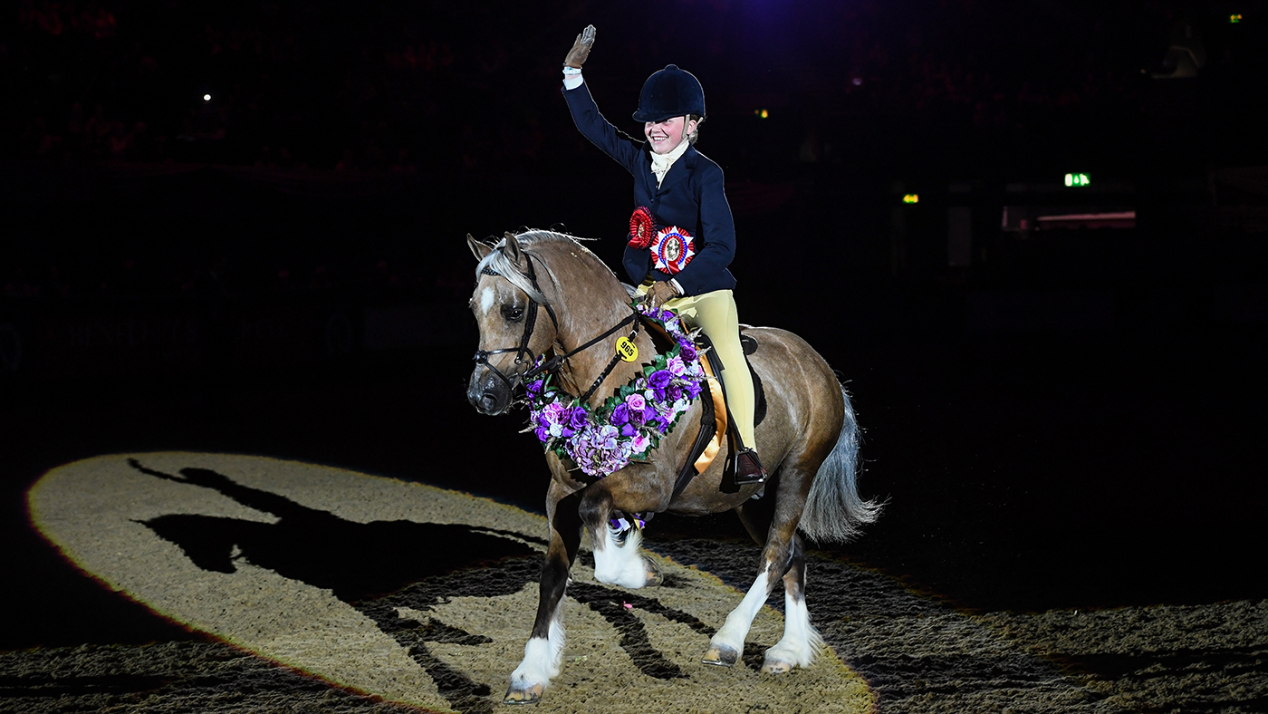 HOYS M&amp;amp;M working hunter pony championship