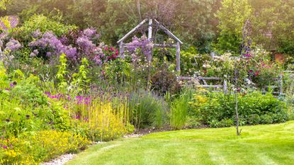 A garden in the sunshine