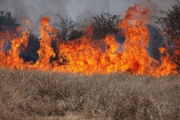 Wildfires like this one in Western cheatgrass could increase emissions of mercury. 