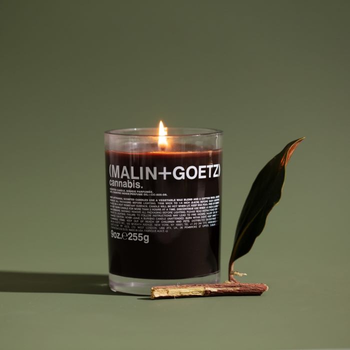 lit candle on green background