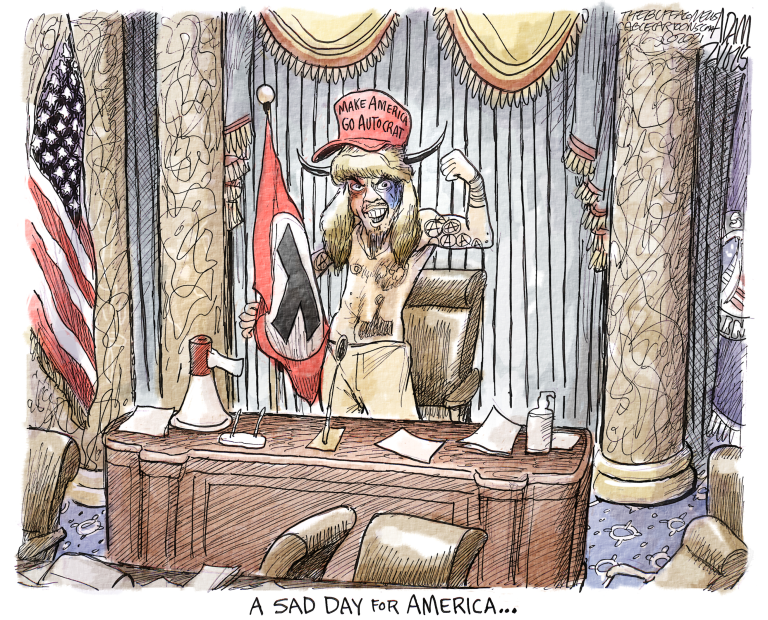 7 scathing cartoons about Trump's Capitol riot | The Week