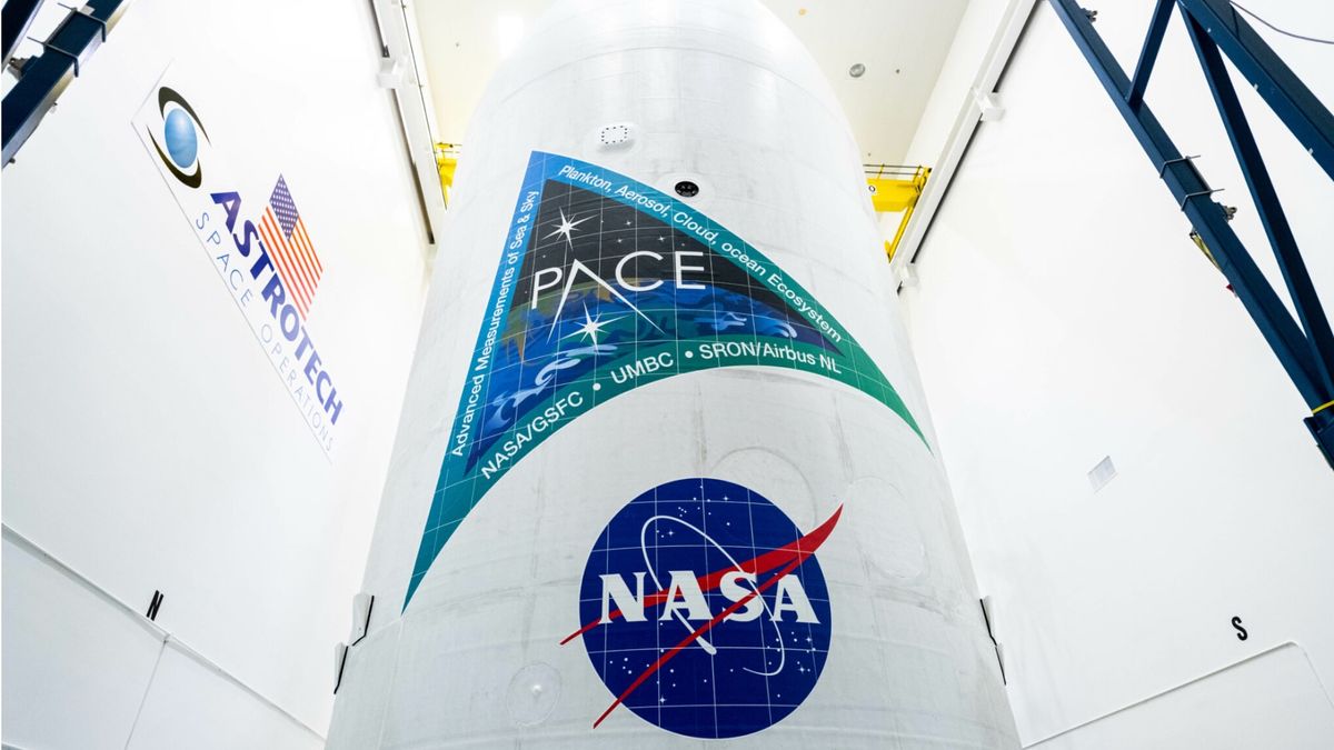 من المقرر أن تطلق شركة SpaceX القمر الصناعي PACE لمراقبة المحيطات التابع لناسا هذا الأسبوع
