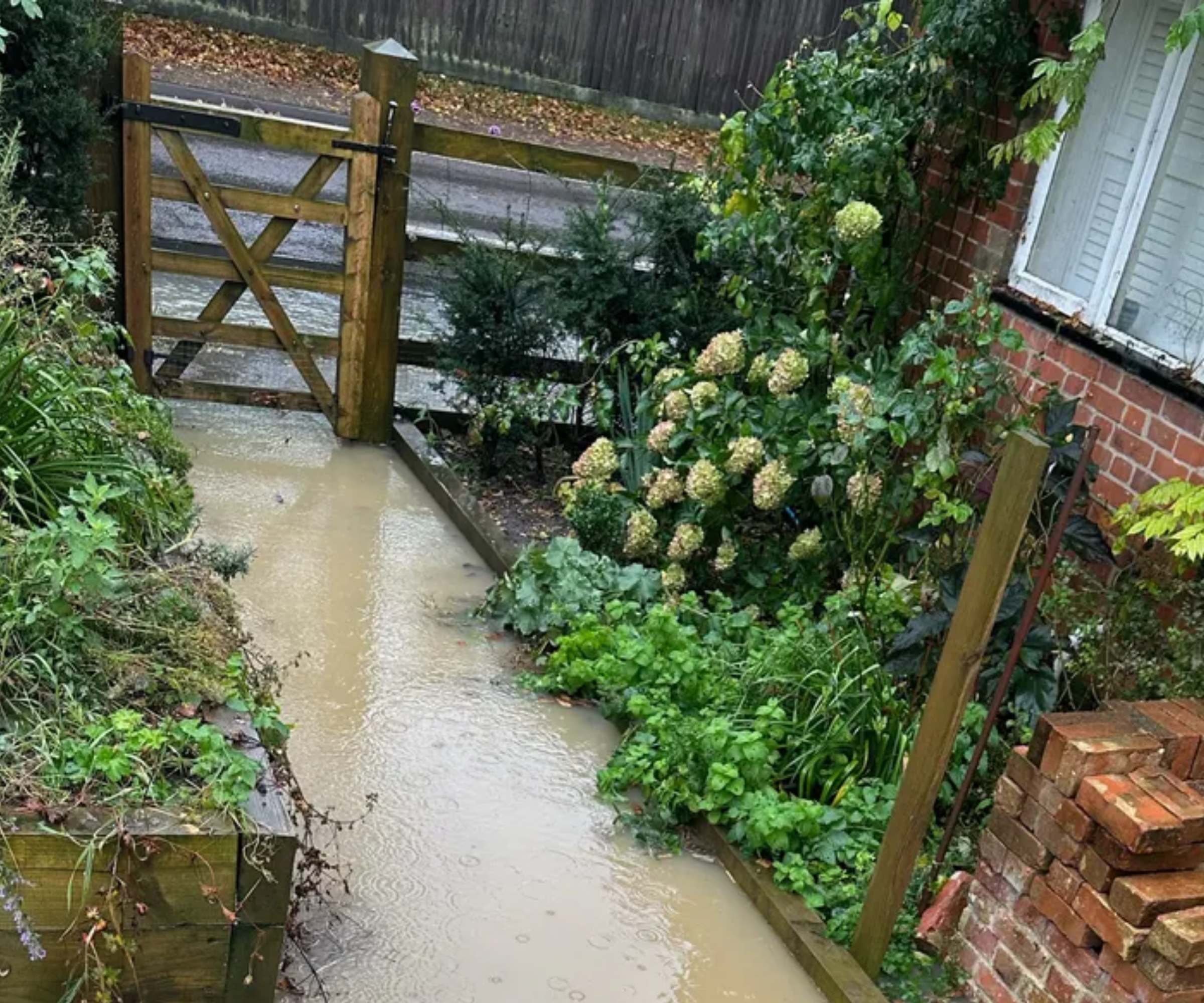 Flooding down a path of a front garden with flower beds on either side and a road behind a wooden gate