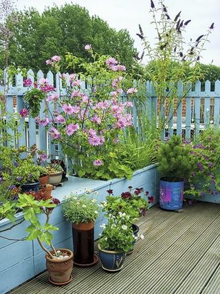 Small garden with container planting