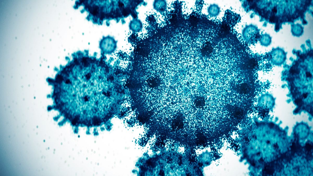 an illustration of viruses