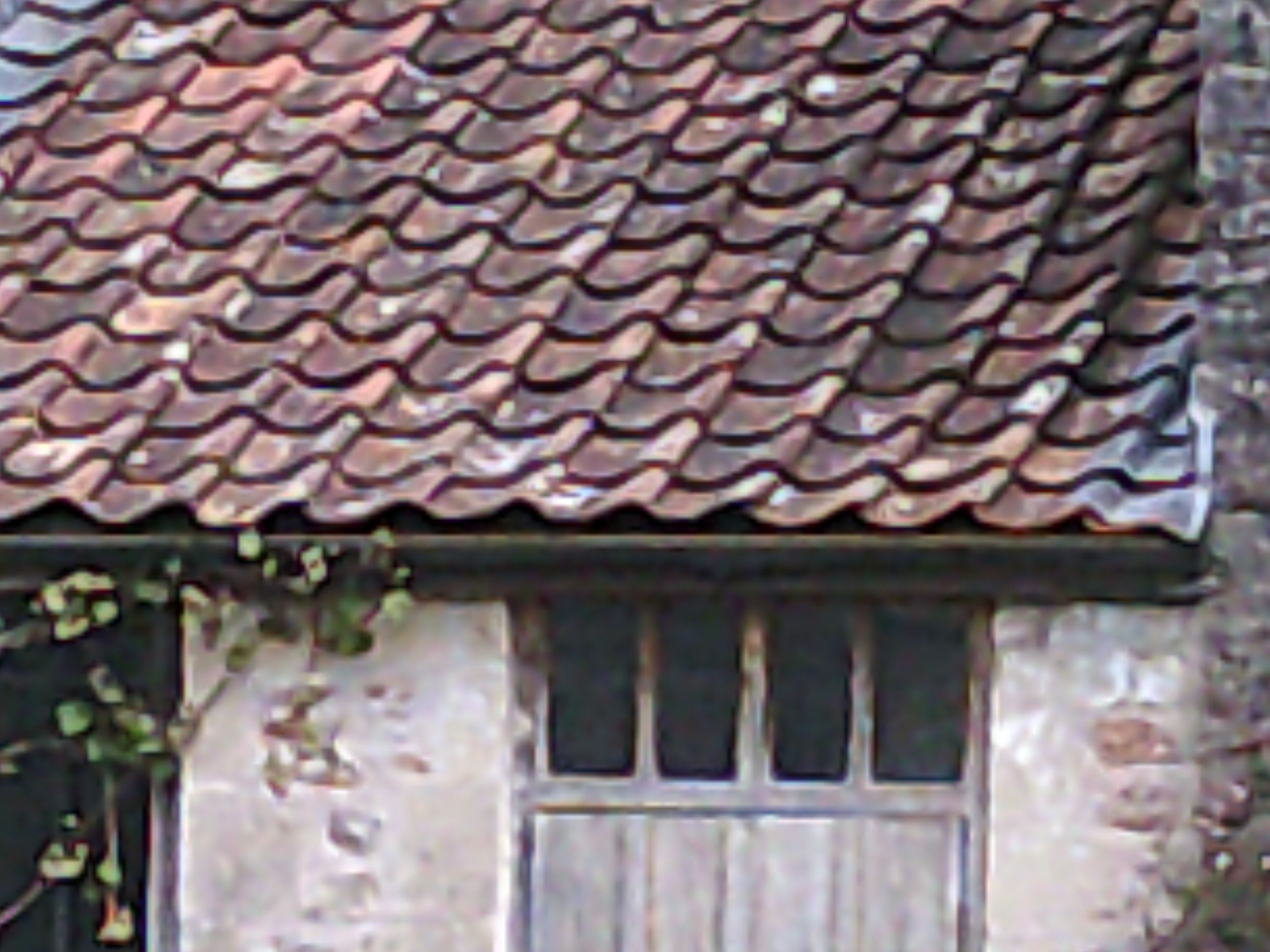 Yashica DigiPix 100 sample image