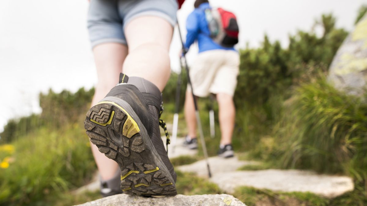 The best hiking shoes for day walks and backcountry hikes