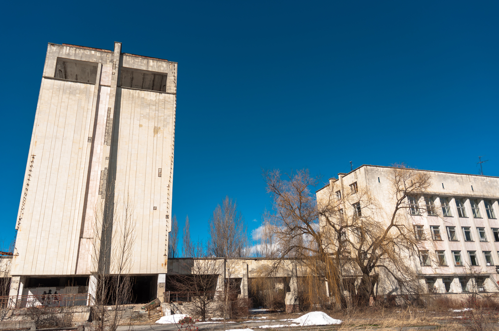 chernobyl, Chernobyl disaster, chernobyl catastrophe, plants decay chernobyl, decomposition, leaf litter