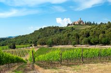 Castello Banfi wines Producer Profile