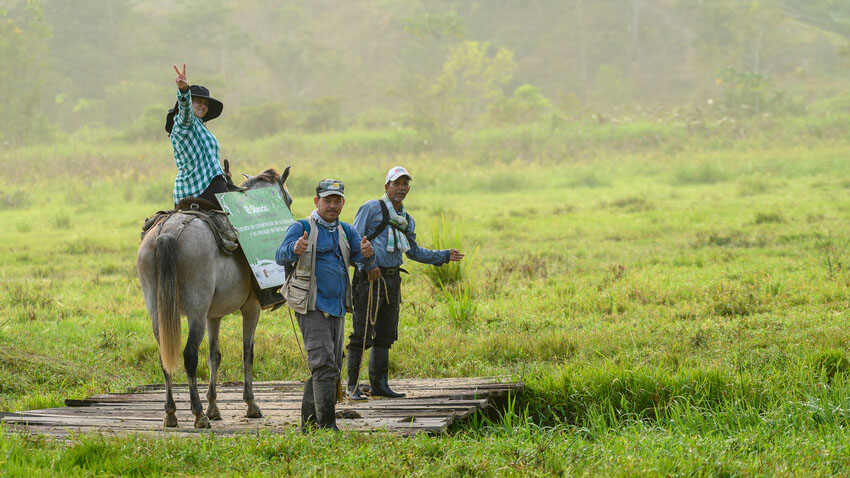 Areas of forest conserved with the assistance of the World Land Trust