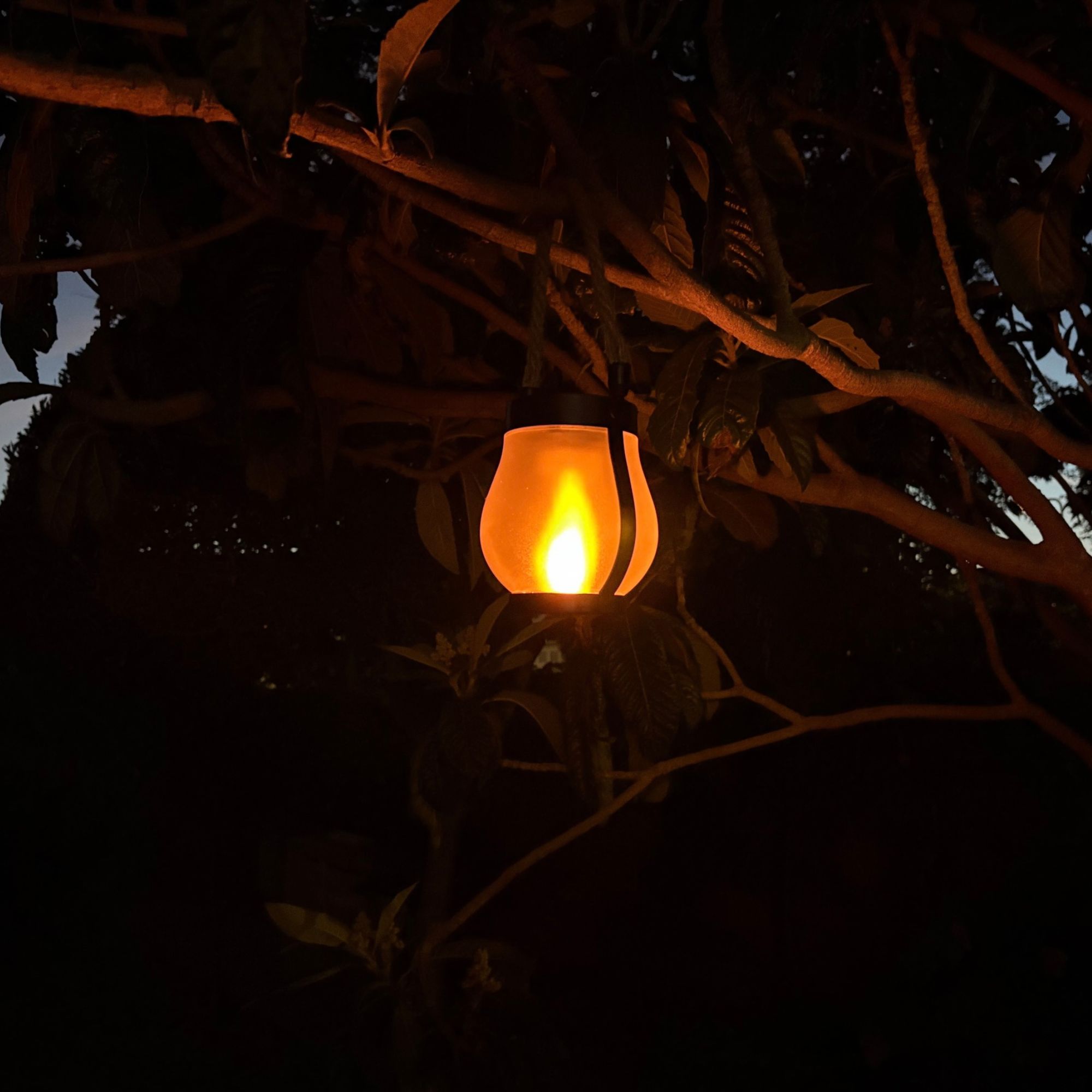 Adiwo Solar Flame Hemp Rope Lantern in garden after dark