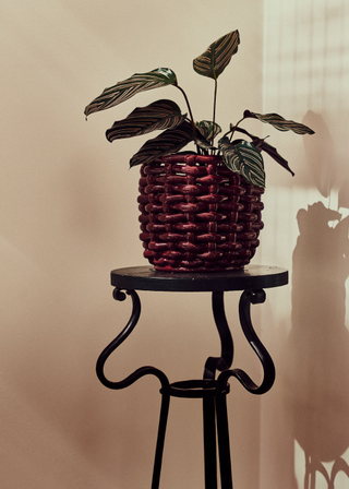 A potted plant in a woven burgundy ceramic planter on a plant pedestal