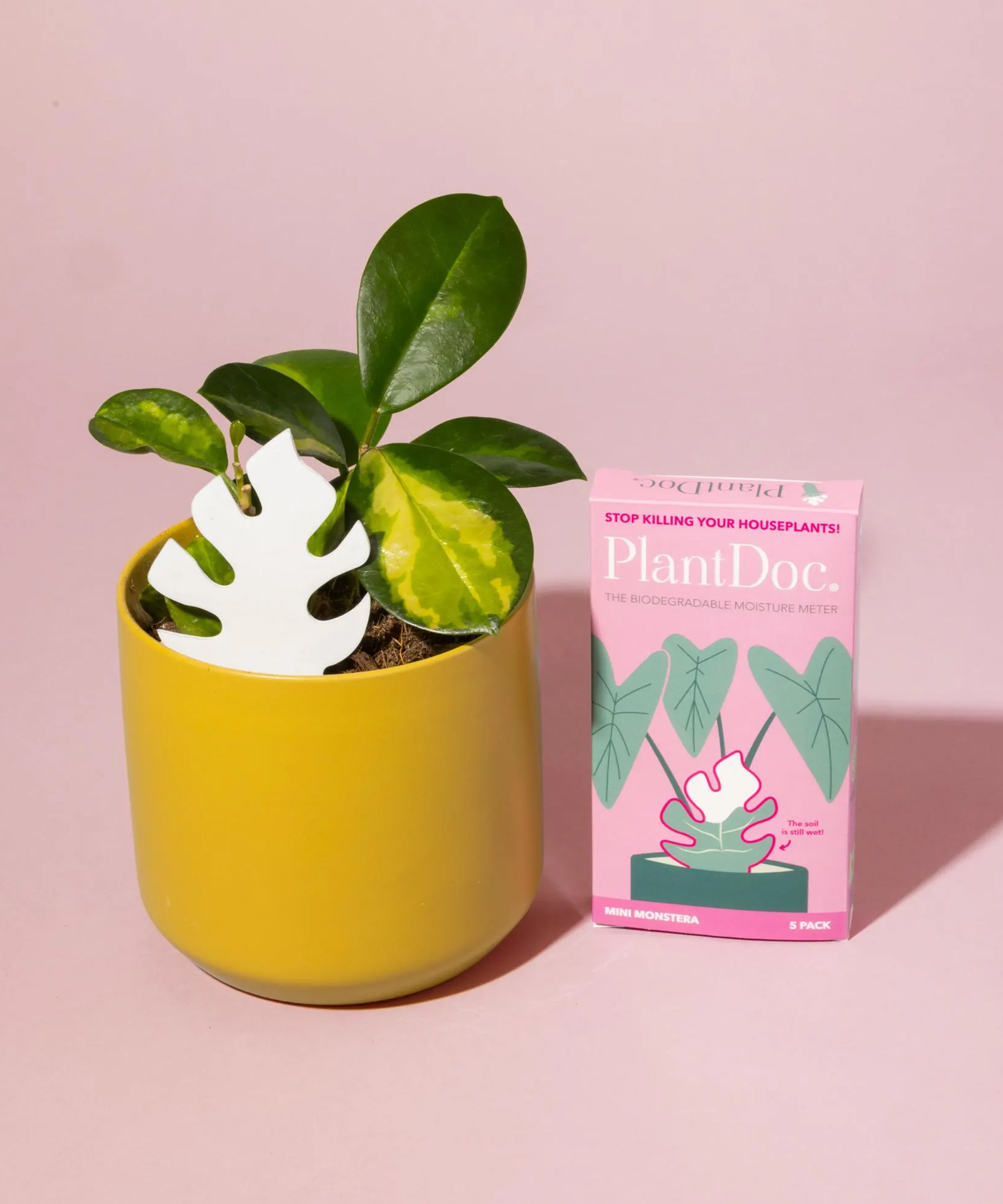 PlantDoc water meter