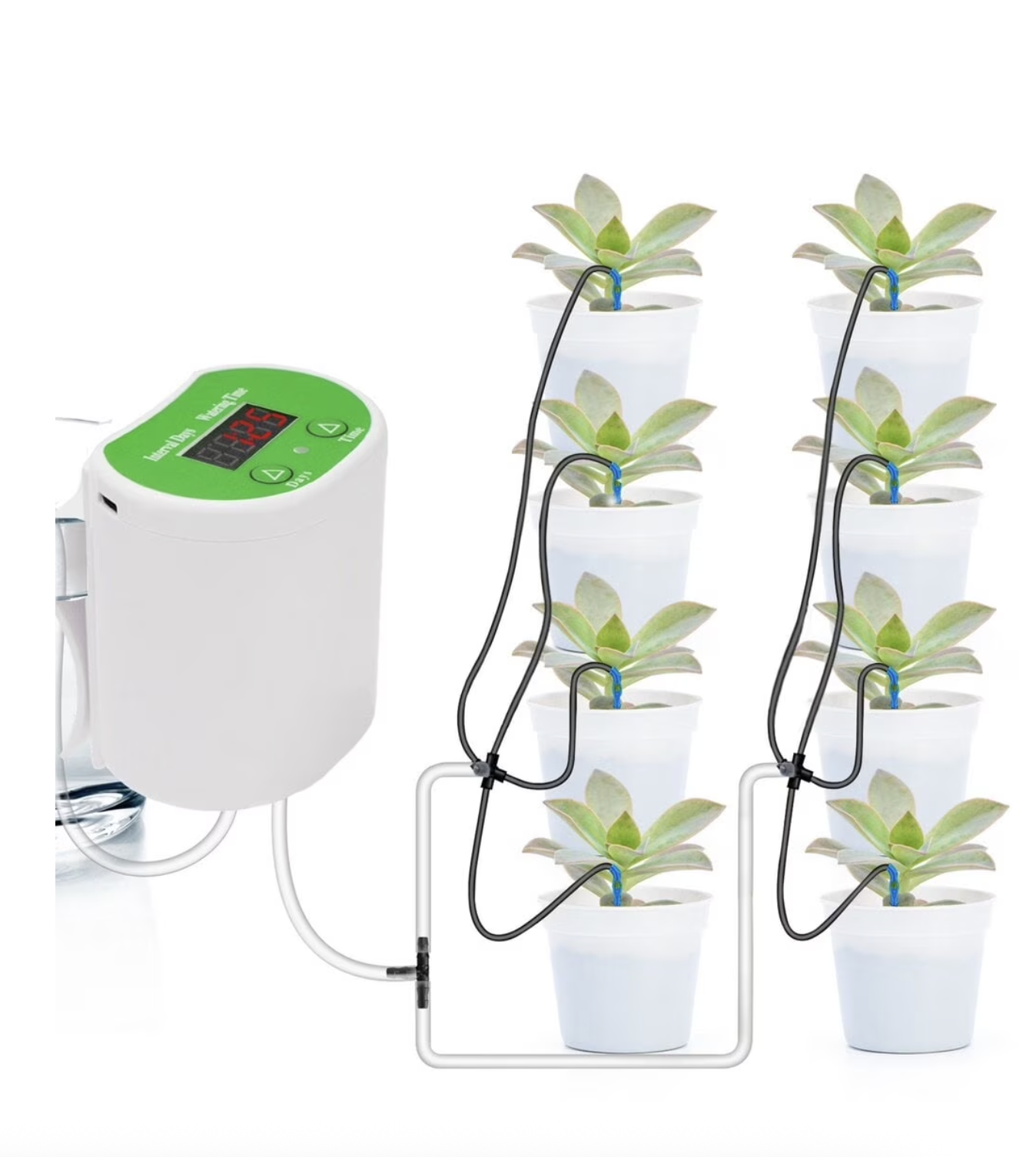 A digital waterer connected to eight houseplants