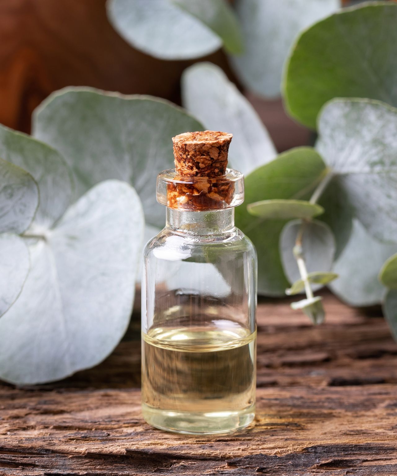 6 chipmunk repellents and home remedies to try Homes & Gardens