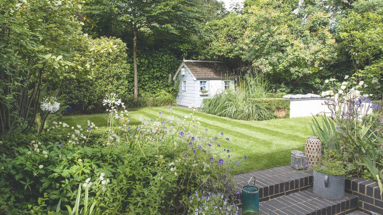 Garden lawn with stripes and surrounding garden borders and trees