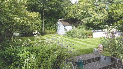 Cutting grass in november sale