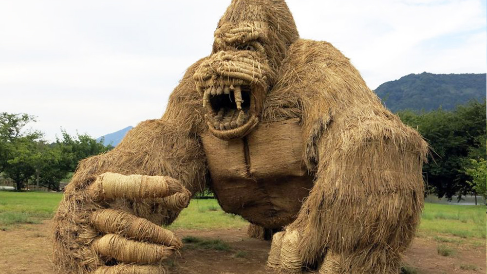 Giant Straw Dinosaurs Invade Japanese Fields After Rice Harvest