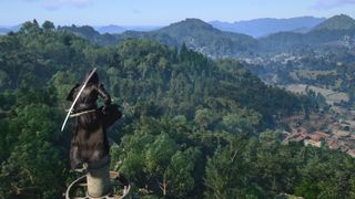 Naoe looks over at a dense, lush, green forest in Assassin's Creed Shadows from a viewpoint