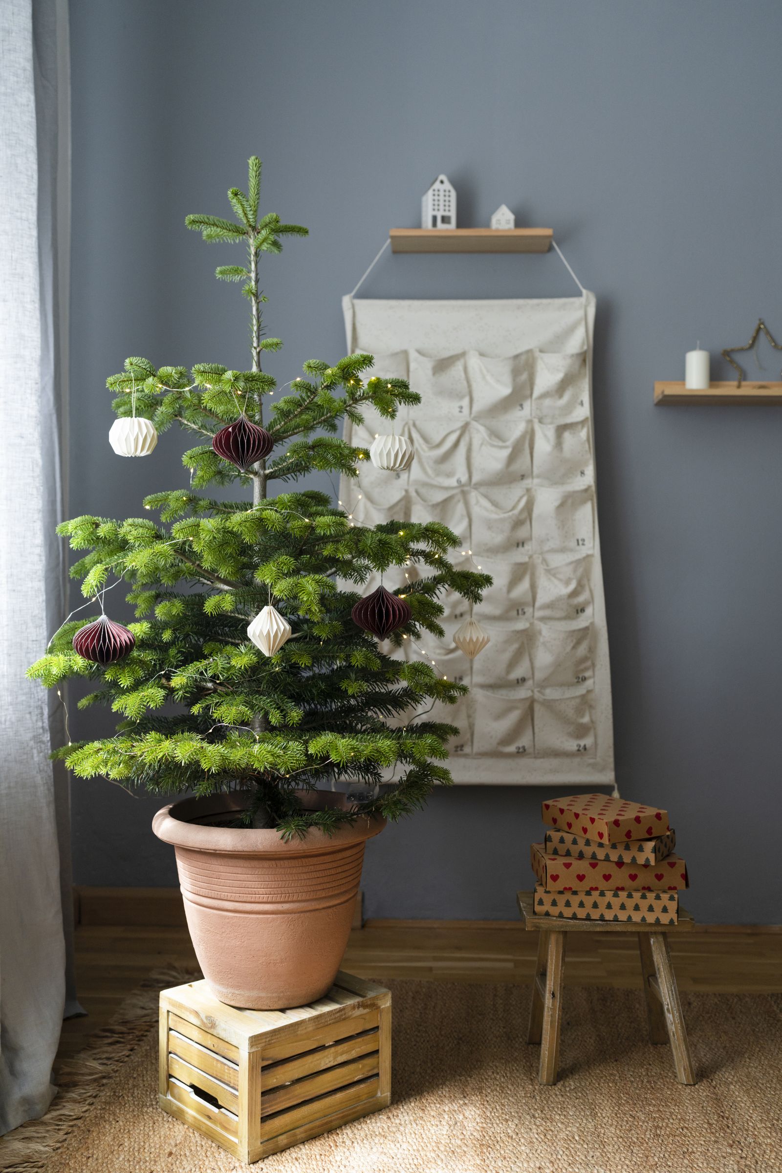 5 ways to revive a dying Christmas tree Livingetc