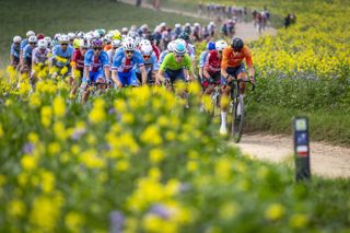 Mandatory Credit: Photo by MARCEL VAN HOORN/EPA/Shutterstock (15534423e)
The peloton in action during the Men Elite race of the UCI Gravel World Championships in Maastricht, Netherlands, 12 October 2025.
UCI Gravel World Championships in Zuid-Limburg, Maastricht, Netherlands - 12 Oct 2025
