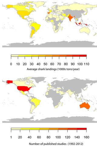 National contributions to shark landings (above) and scientific output (below) (source: shark landing data were obtained from the FAO). Modified from Figure 5.2 in : Momigliano, P. and Harcourt, Robert (in press). The Science-Law Disconnect. In: Klein, N. and Techera, E. (eds.) Sharks: Conservation, Governance and Management.