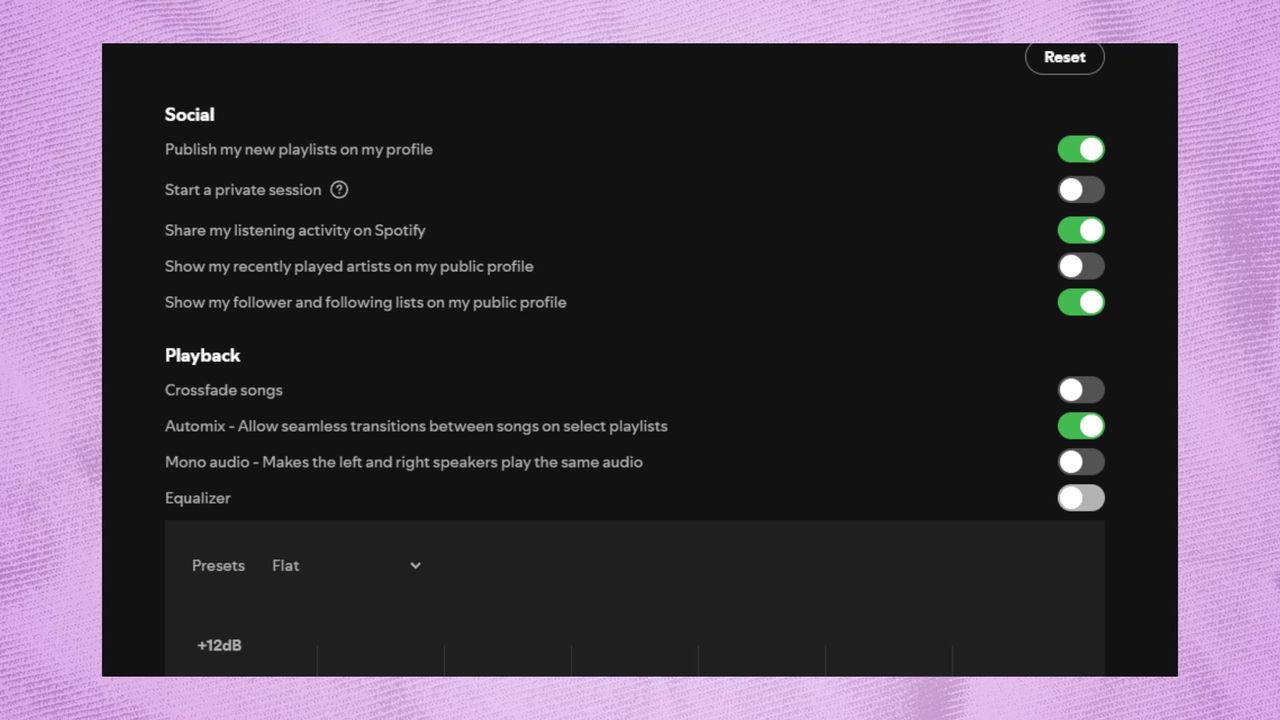 Spotify audio settings
