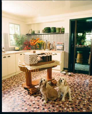 Gingerbread house in kitchen with two dogs
