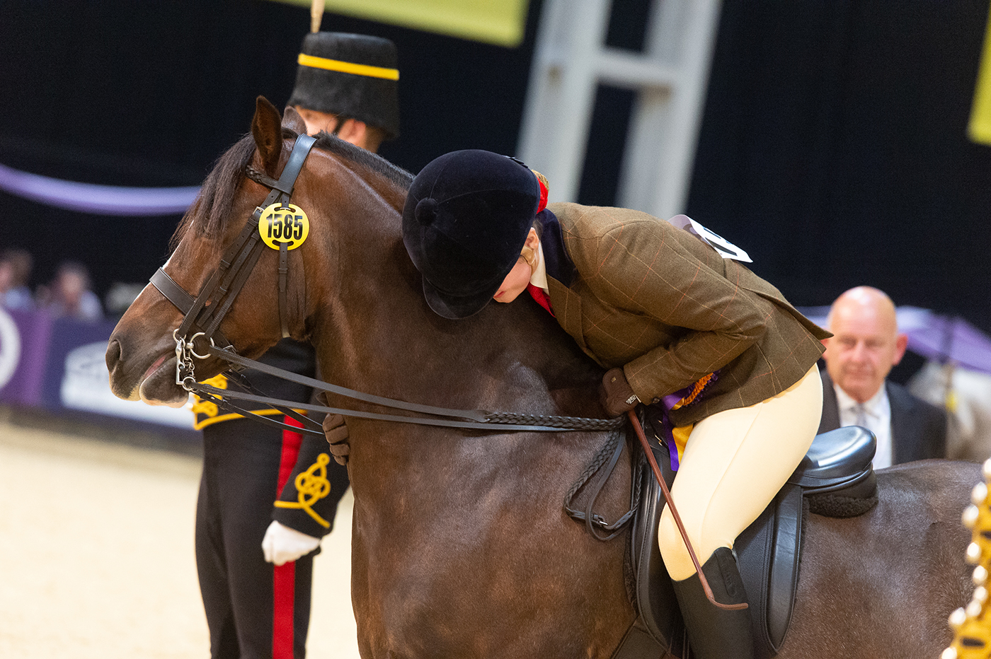 HOYS 2019