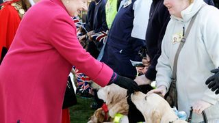 Queen Elizabeth II meets local visually impaired residents and their blind dogs during a walkabout in the Market Square on March 31, 2006 in Staffordshire, England.