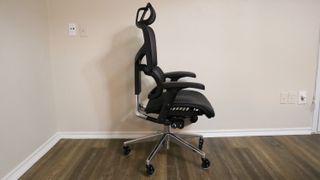 Lumbar Support and Backrest