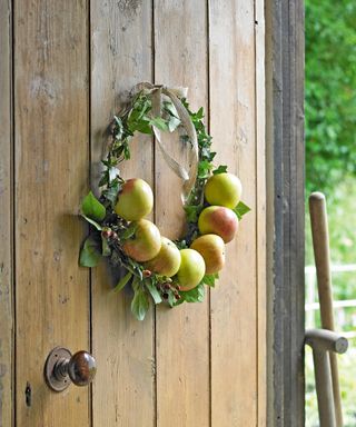 Fresh green apples and foliage on a winter wreath on a rustic open wooden door