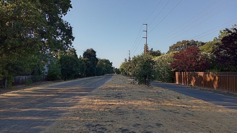 Nokia G20 Camera Sample