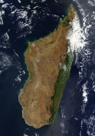 Madagascar is featured in this Moderate Resolution Imaging Spectroradiometer (MODIS) image taken by the Terra satellite on Sept. 10, 2003.The narrow strip of green along the east coast of the island is a rainforest.