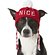 Frisco Naughty/Nice Dog Knitted Hat