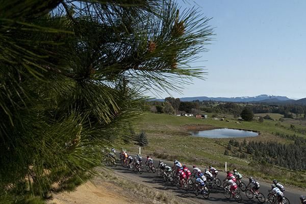 The peloton on stage nine from Ulverstone to Penguin with fine conditions - at last.