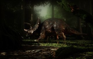 artist impression of a triceratops walking through a forest