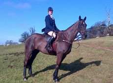 IMG-20140301-00057.jpg