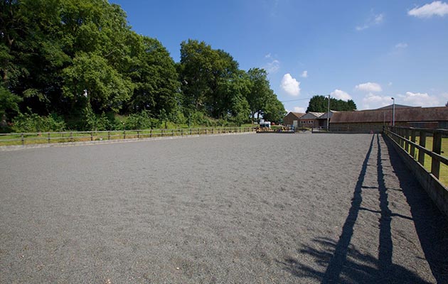 arena2