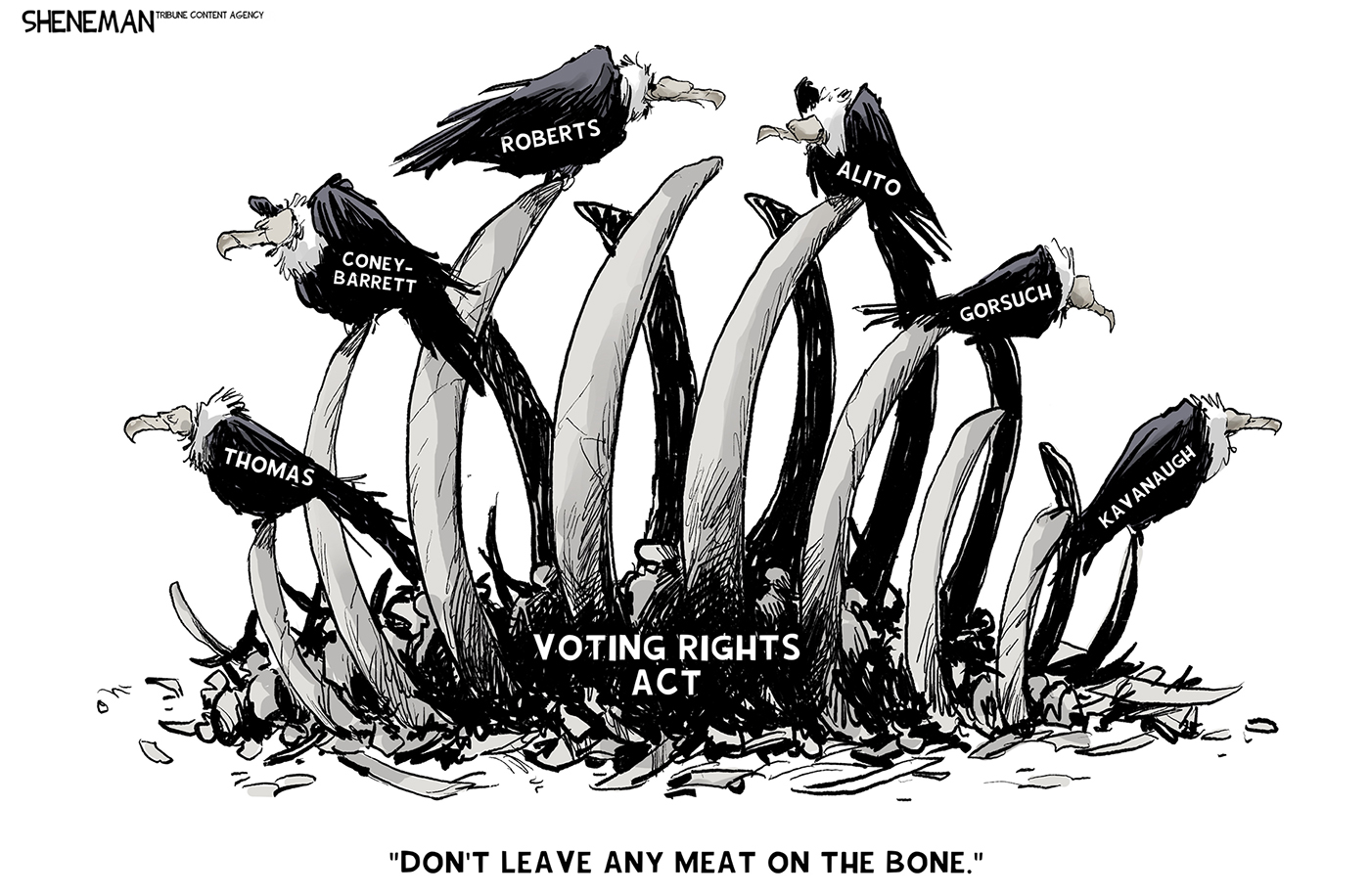 This cartoon depicts six buzzards with the names of the Supreme Court justices who voted to strike down a Louisiana voting map as a racial gerrymander. They are feasting on a corpse labeled &amp;ldquo;voting rights act&amp;rdquo; that is mostly bones. The &amp;ldquo;Roberts&amp;rdquo; buzzard says to the &amp;ldquo;Alito&amp;rdquo; buzzard &amp;ldquo;Don&amp;rsquo;t leave any meat on the bone.&amp;rdquo;